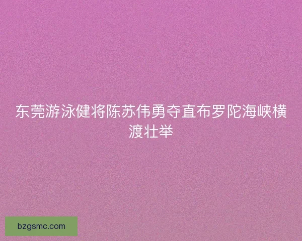 东莞游泳健将陈苏伟勇夺直布罗陀海峡横渡壮举 东莞游泳健将陈苏伟勇夺直布罗陀海峡横渡壮举